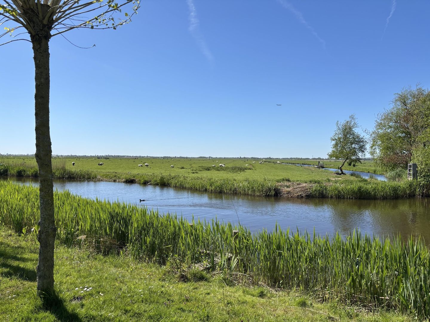 Woude 26, De Woude foto-31
