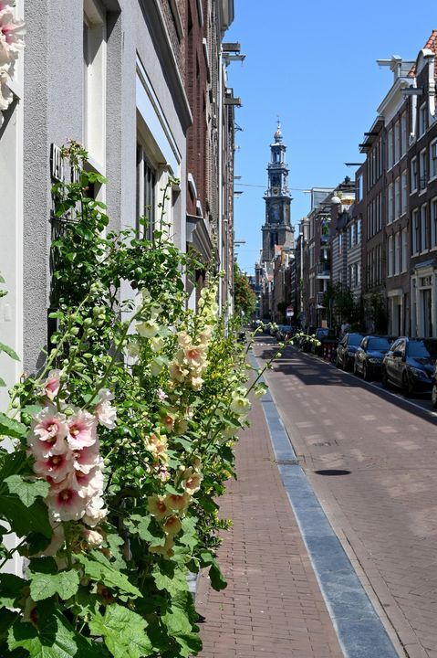 Akoleienstraat 5 1, Amsterdam foto-2