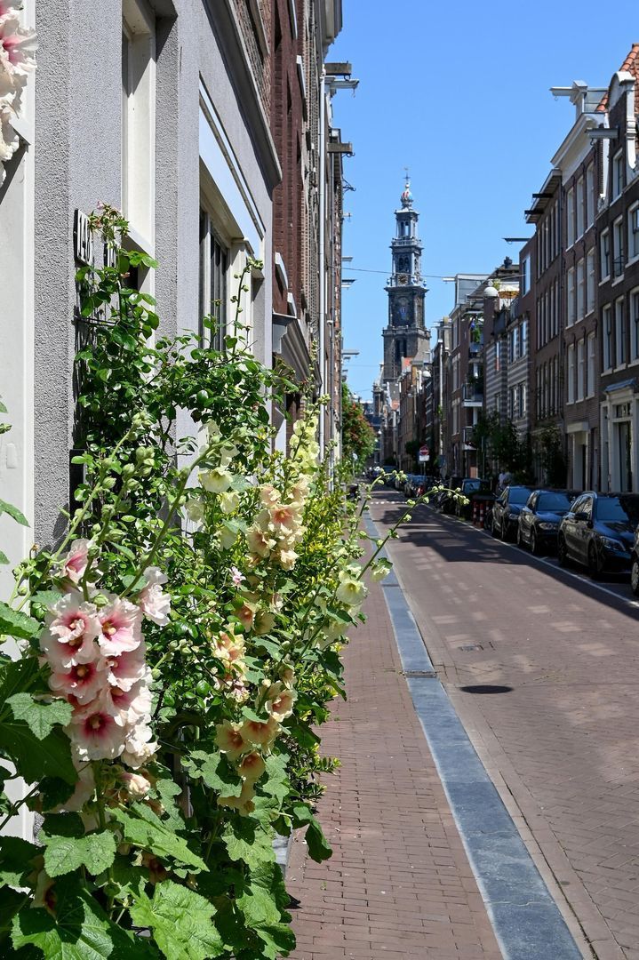 Akoleienstraat 5 1, Amsterdam foto-1