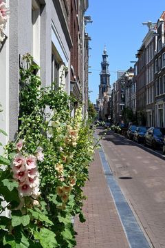Akoleienstraat 5 1, Amsterdam foto-1 thumb