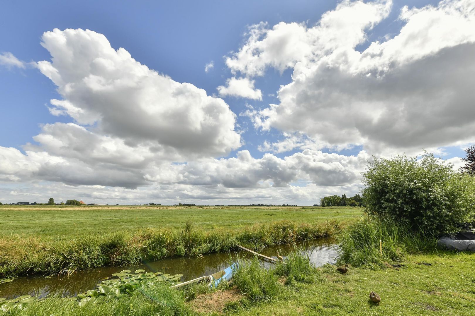 Heems Weer 16, Broek In Waterland foto-39