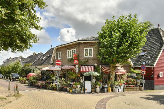 Heems Weer 16, Broek In Waterland foto-42 thumb