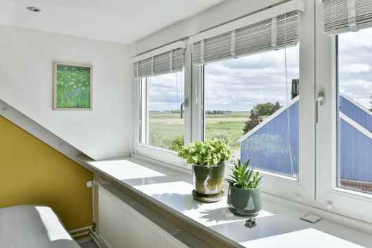 Heems Weer 16, Broek In Waterland foto-2 thumb