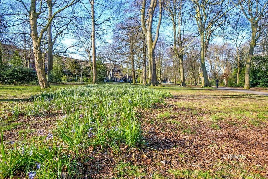 Van Alkemadelaan 416, Den Haag foto-2