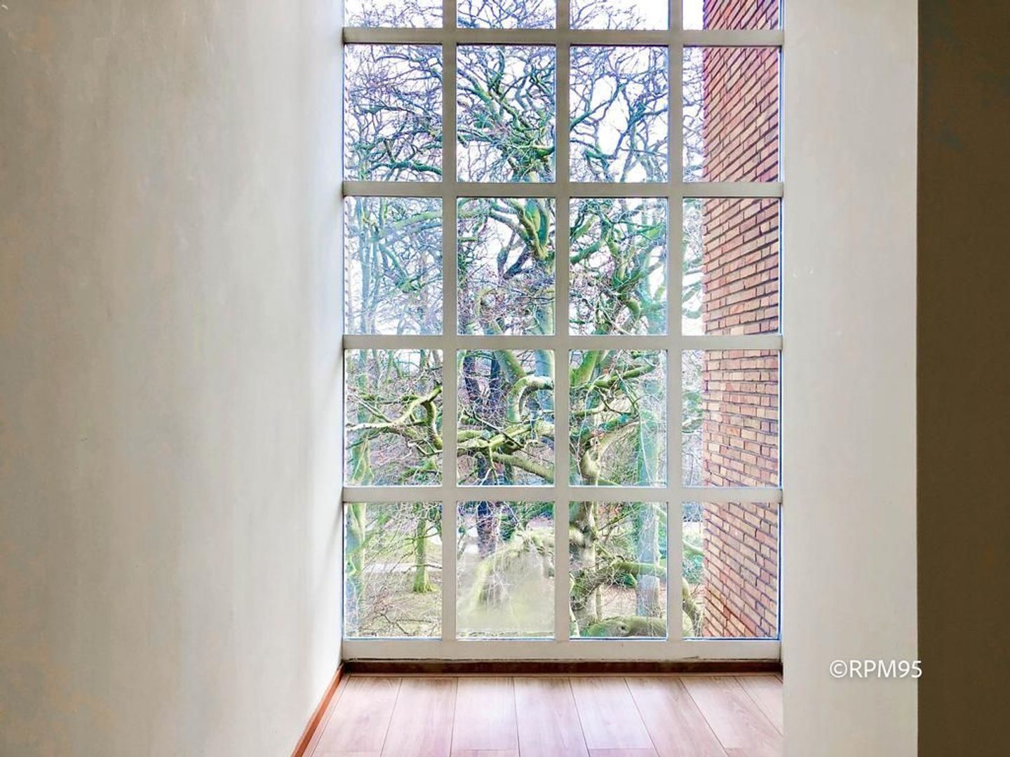 Van Alkemadelaan 416, Den Haag foto-10