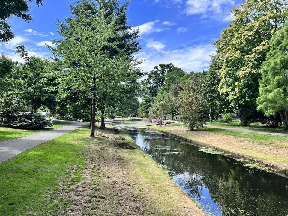 Ridderlaan 83, Den Haag foto-2