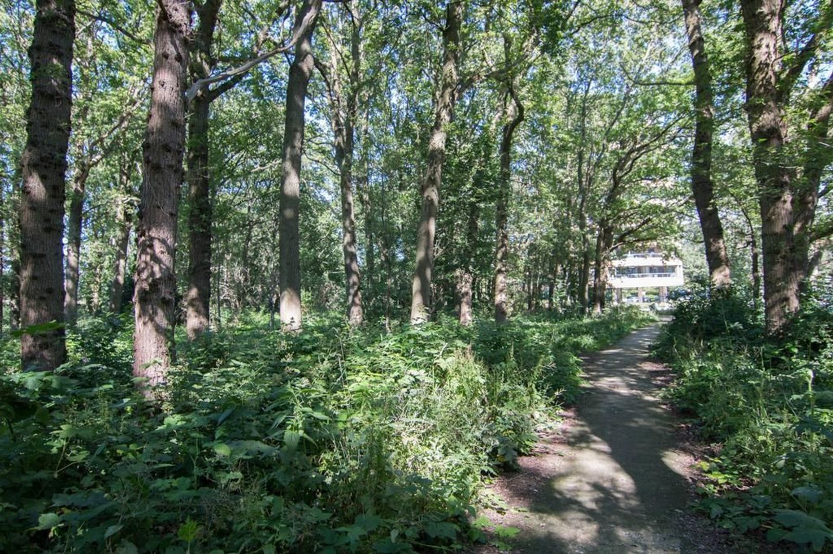 Waalsdorperweg 369, Den Haag foto-28