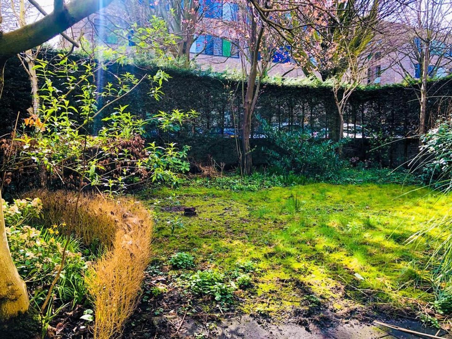 Carel Reinierszkade 193, Den Haag foto-2