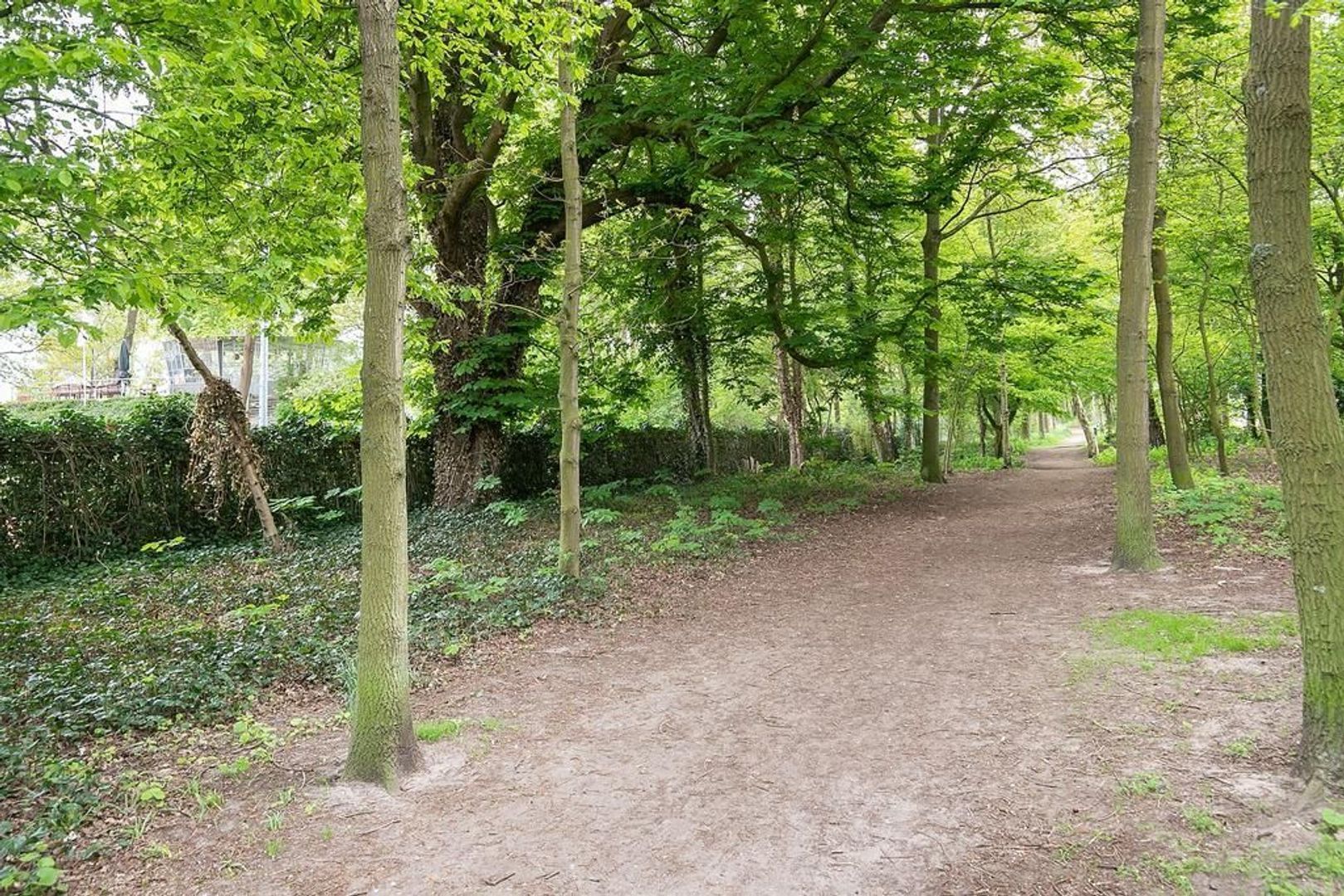 Stalpertstraat 38, Den Haag foto-13