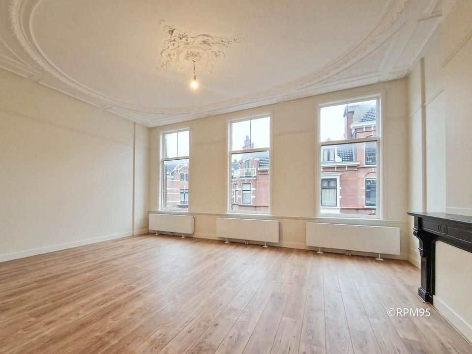 1e Sweelinckstraat 51 A, Den Haag