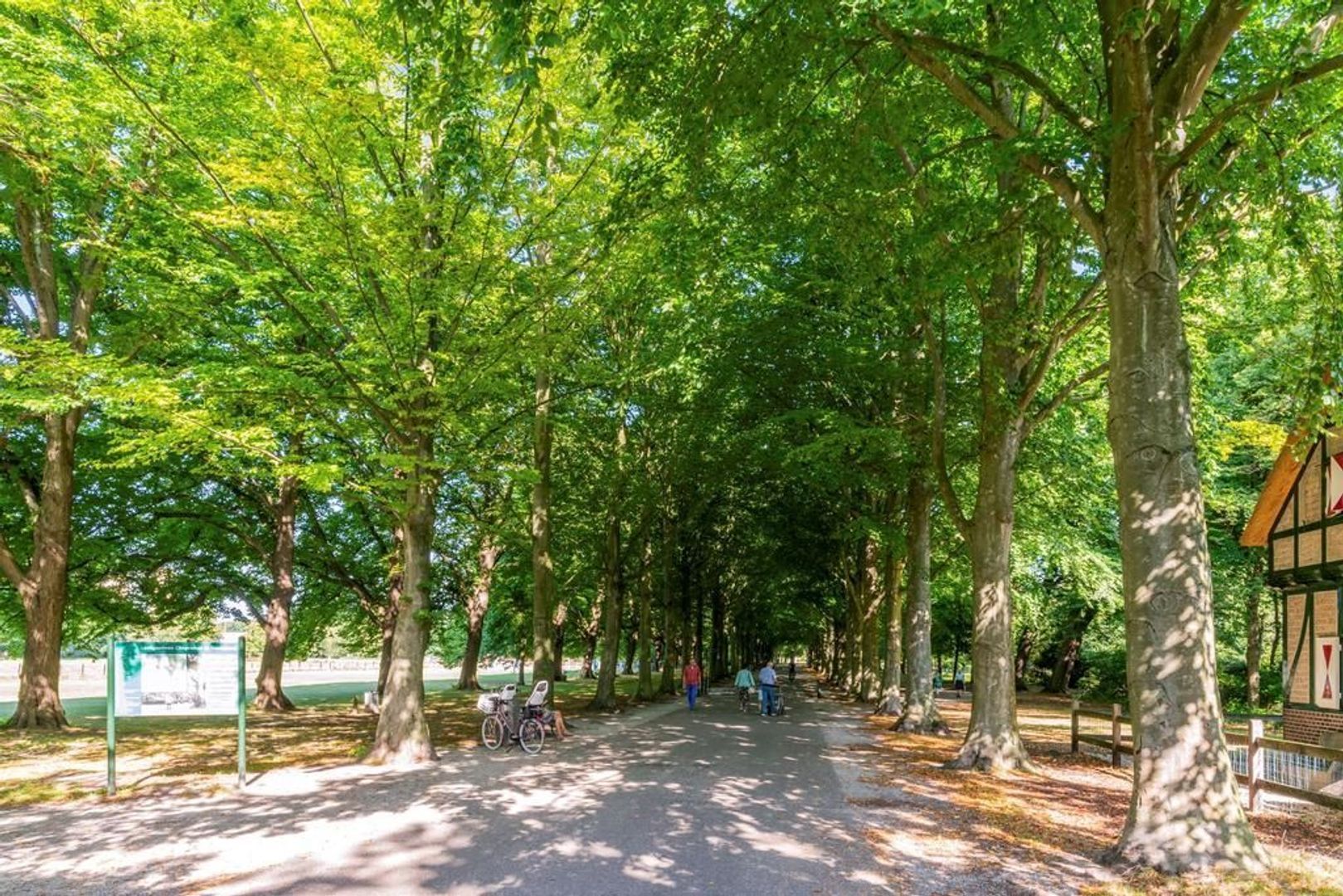 Van Trigtstraat 2, Den Haag foto-45
