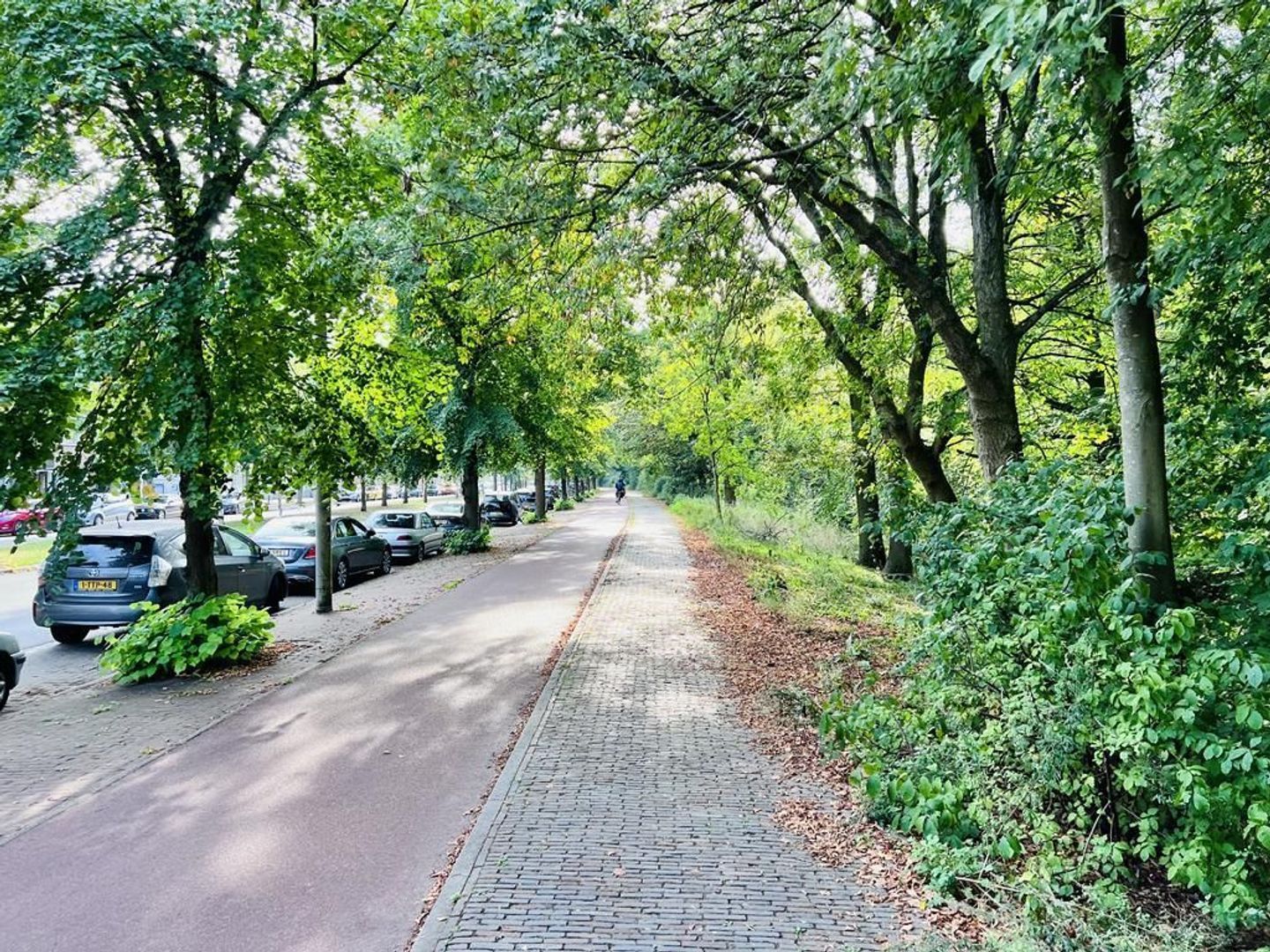 Bezuidenhoutseweg 347 A, Den Haag foto-32