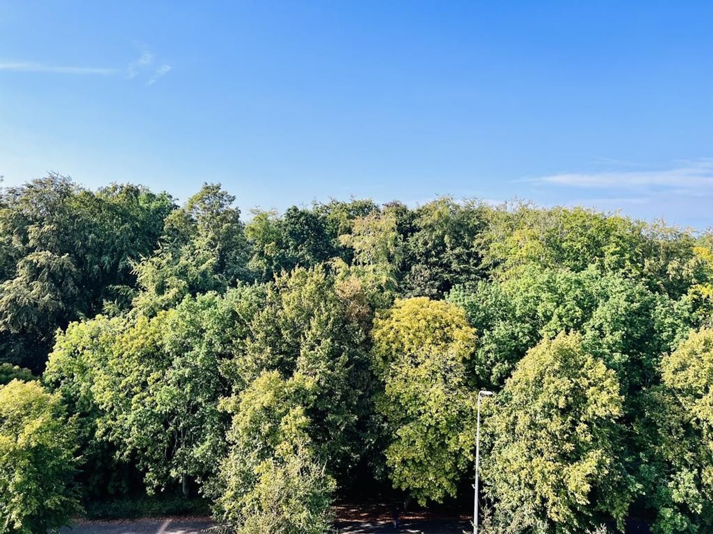 Bezuidenhoutseweg 347 A, Den Haag foto-5