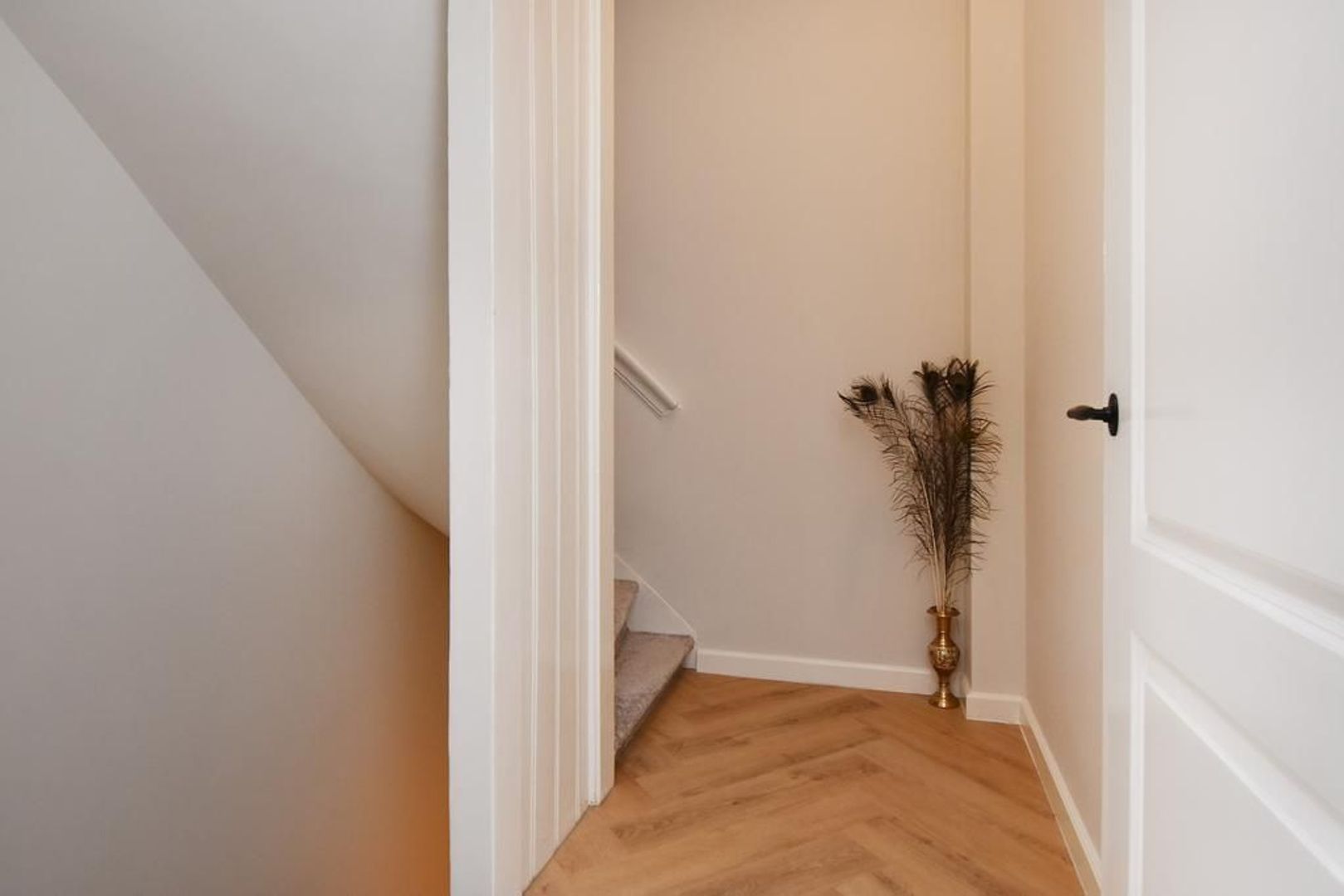 Antonie Heinsiusstraat 43, Den Haag foto-32