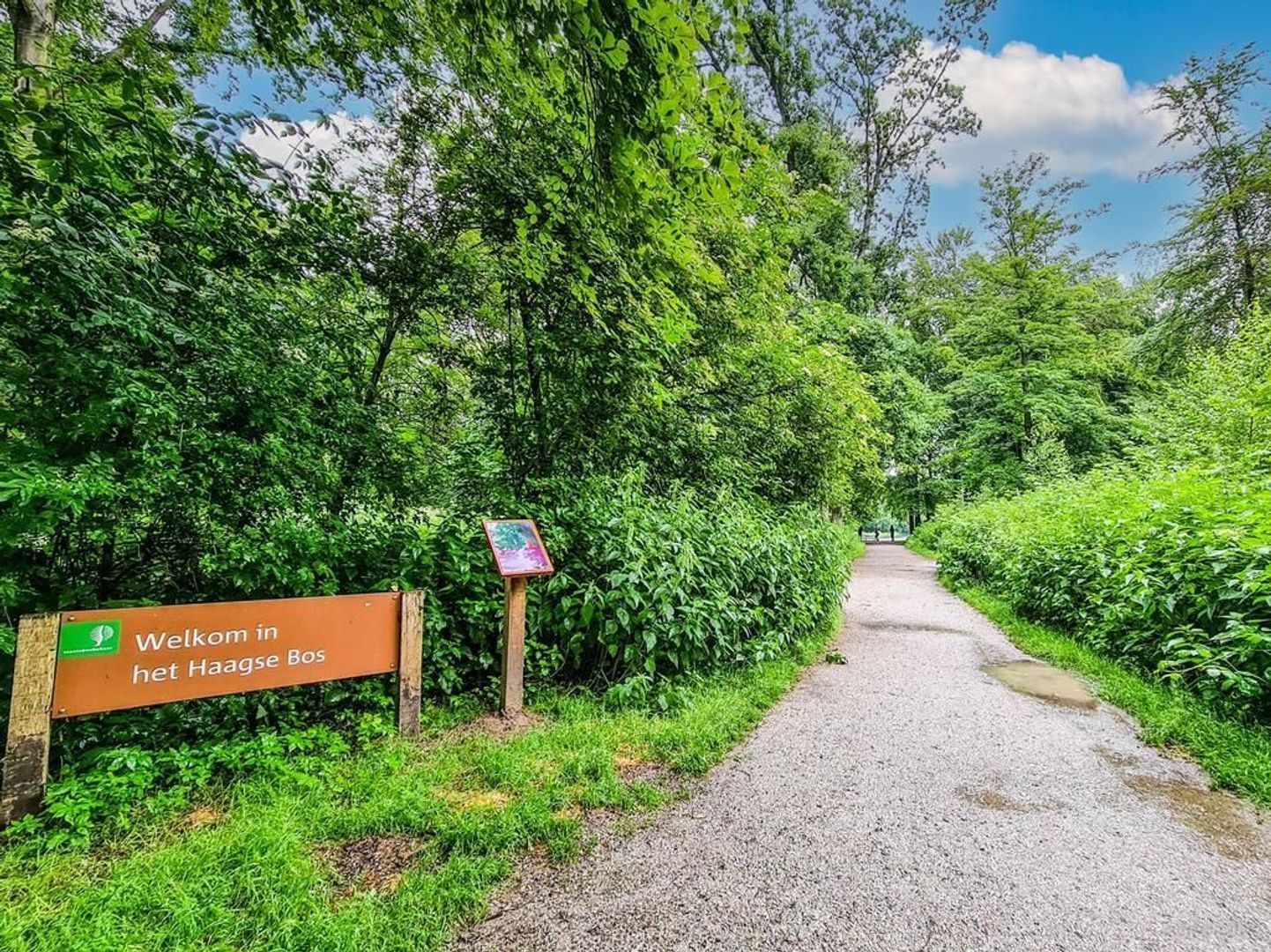 Bezuidenhoutseweg 299, Den Haag foto-26