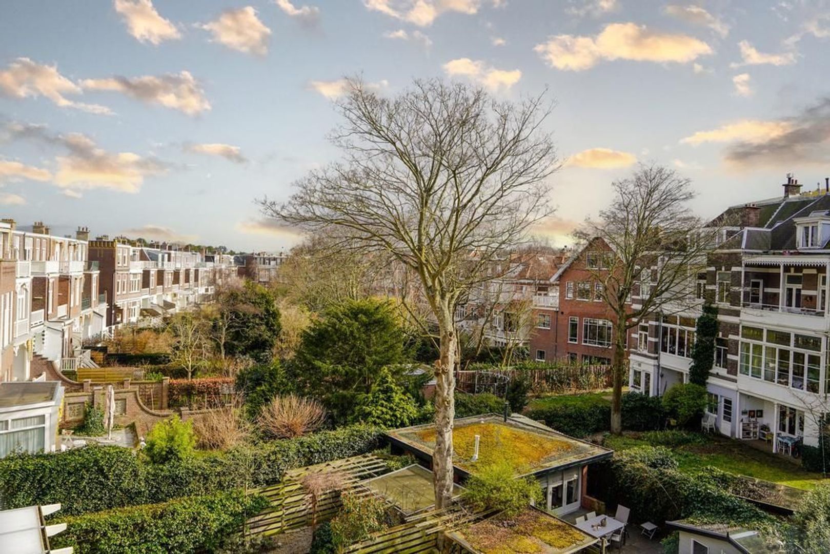Leuvensestraat 39, Den Haag foto-88