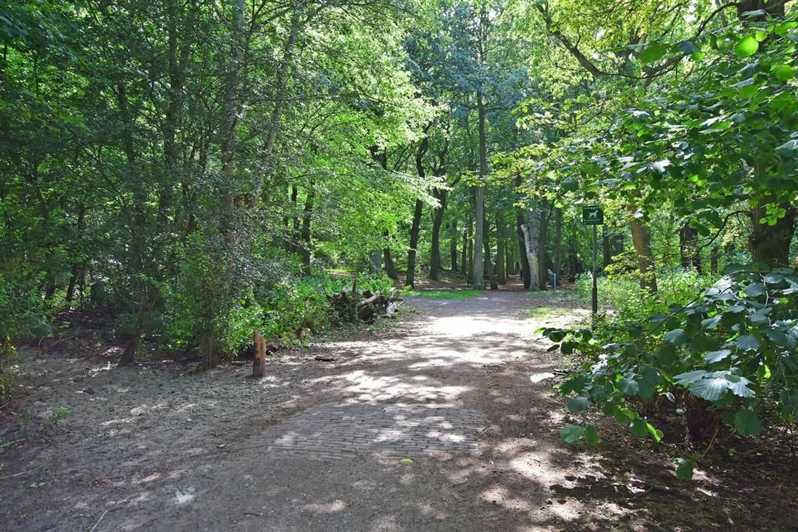 Cees Laseurlaan 279, Den Haag foto-30