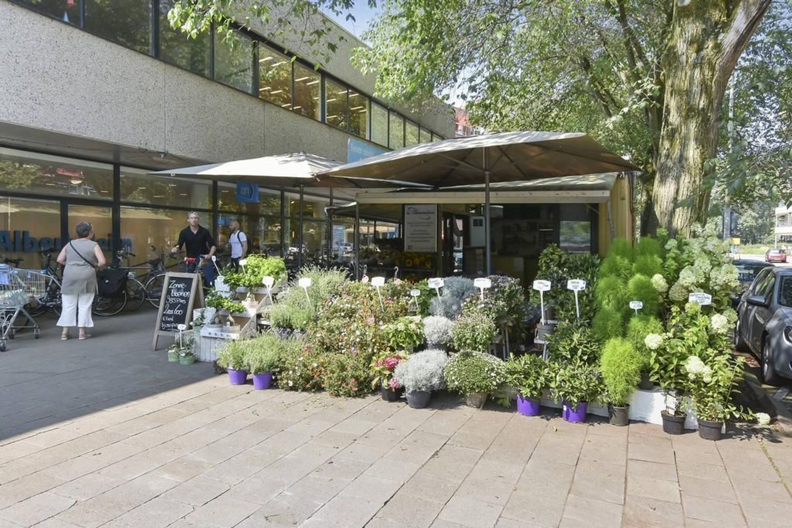 Cees Laseurlaan 279, Den Haag foto-32