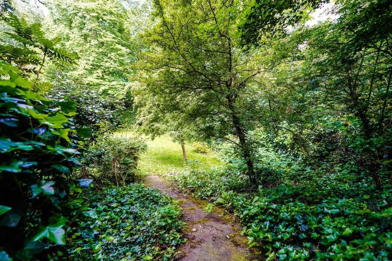 Johan van Oldenbarneveltlaan 111, Den Haag foto-13
