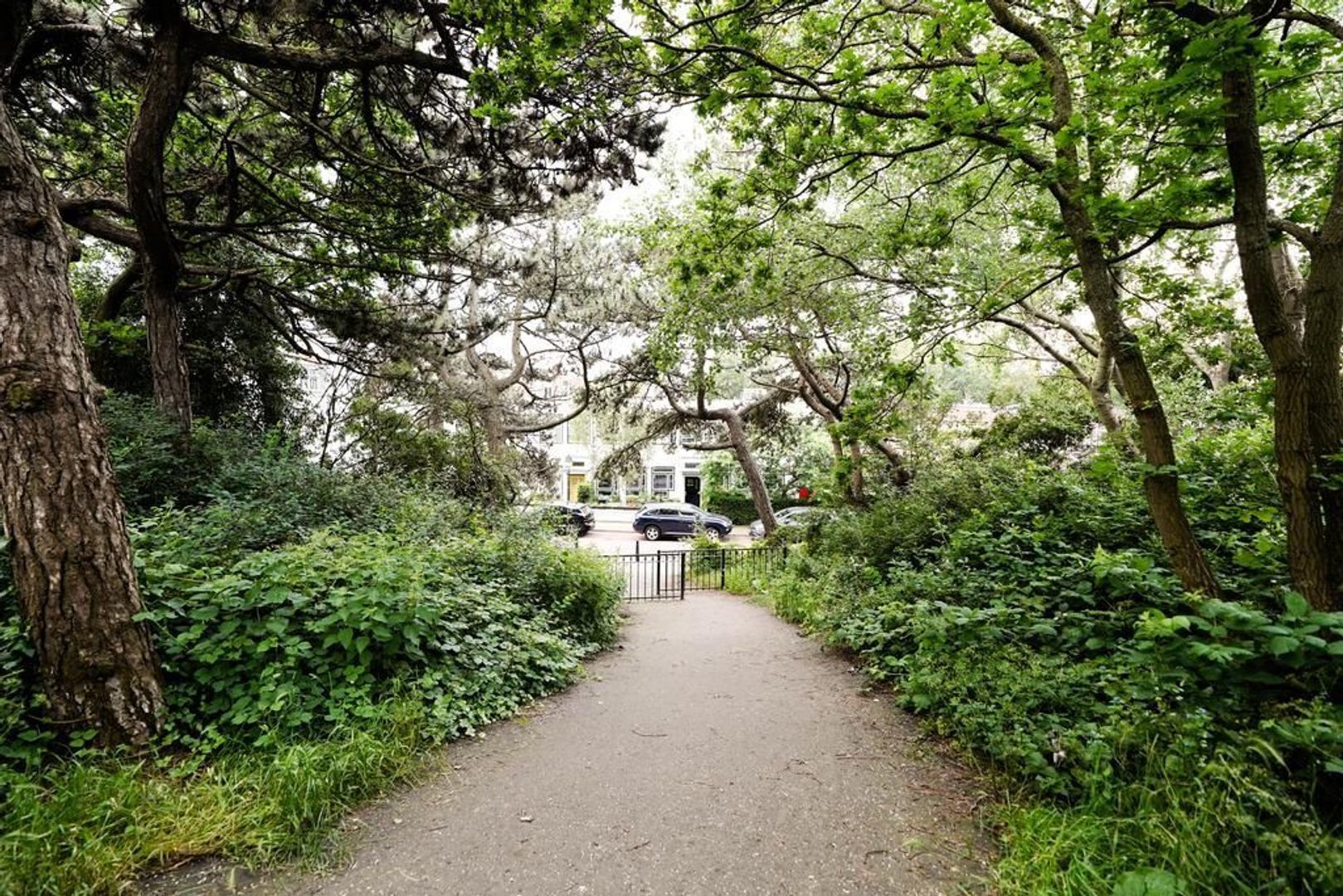 Johan van Oldenbarneveltlaan 111, Den Haag foto-89
