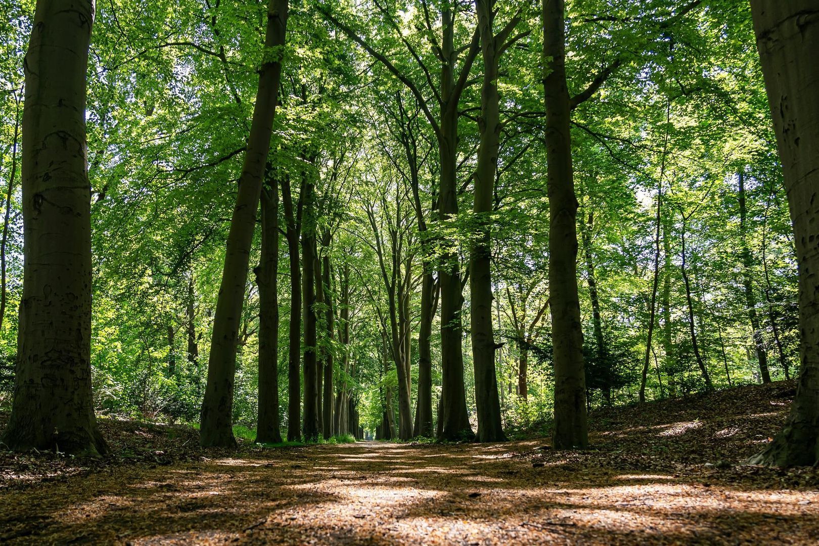 Van Zuylen van Nijeveltstraat 330, Wassenaar foto-77