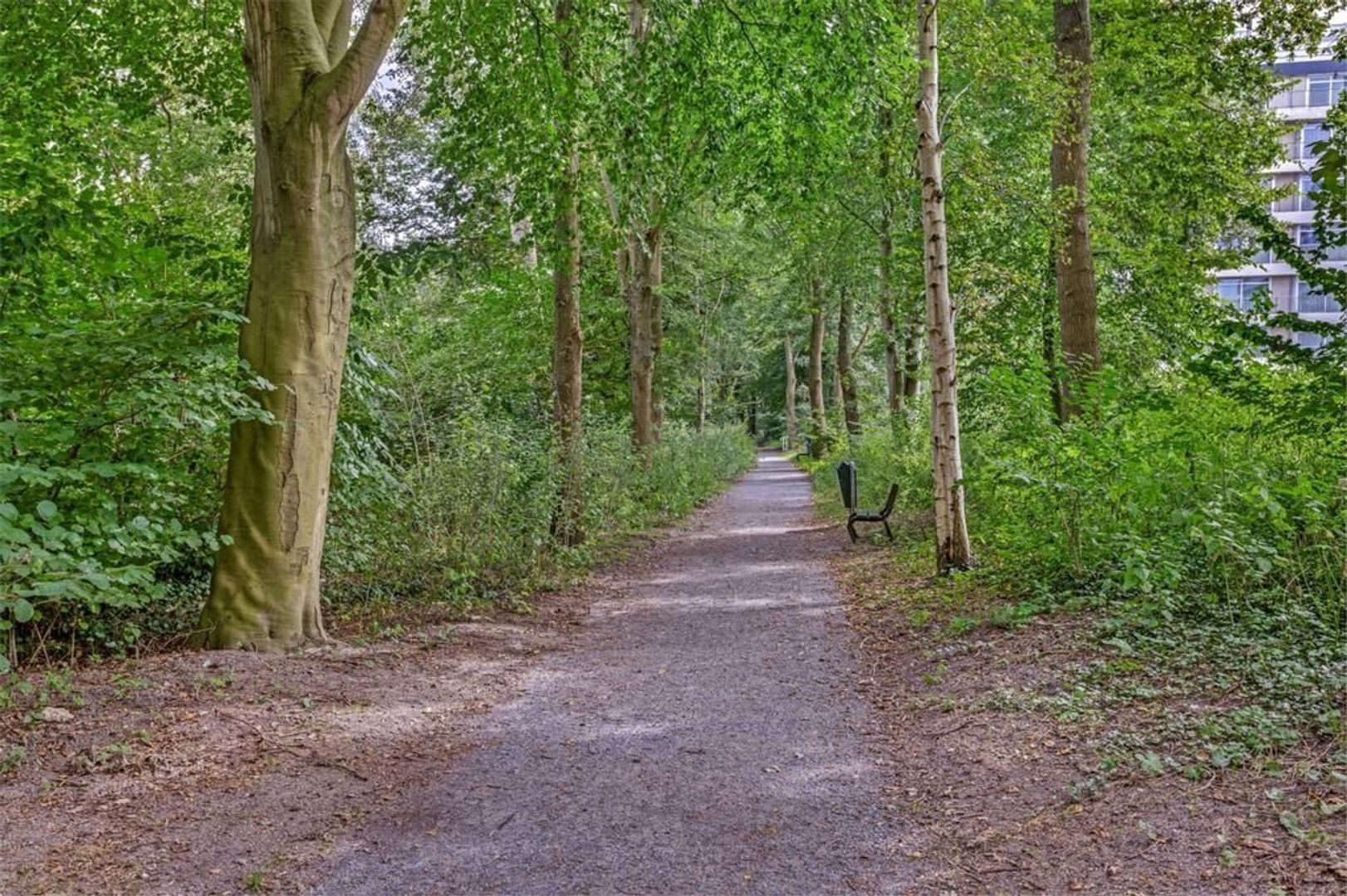 Jan Muschlaan 244, Den Haag foto-25