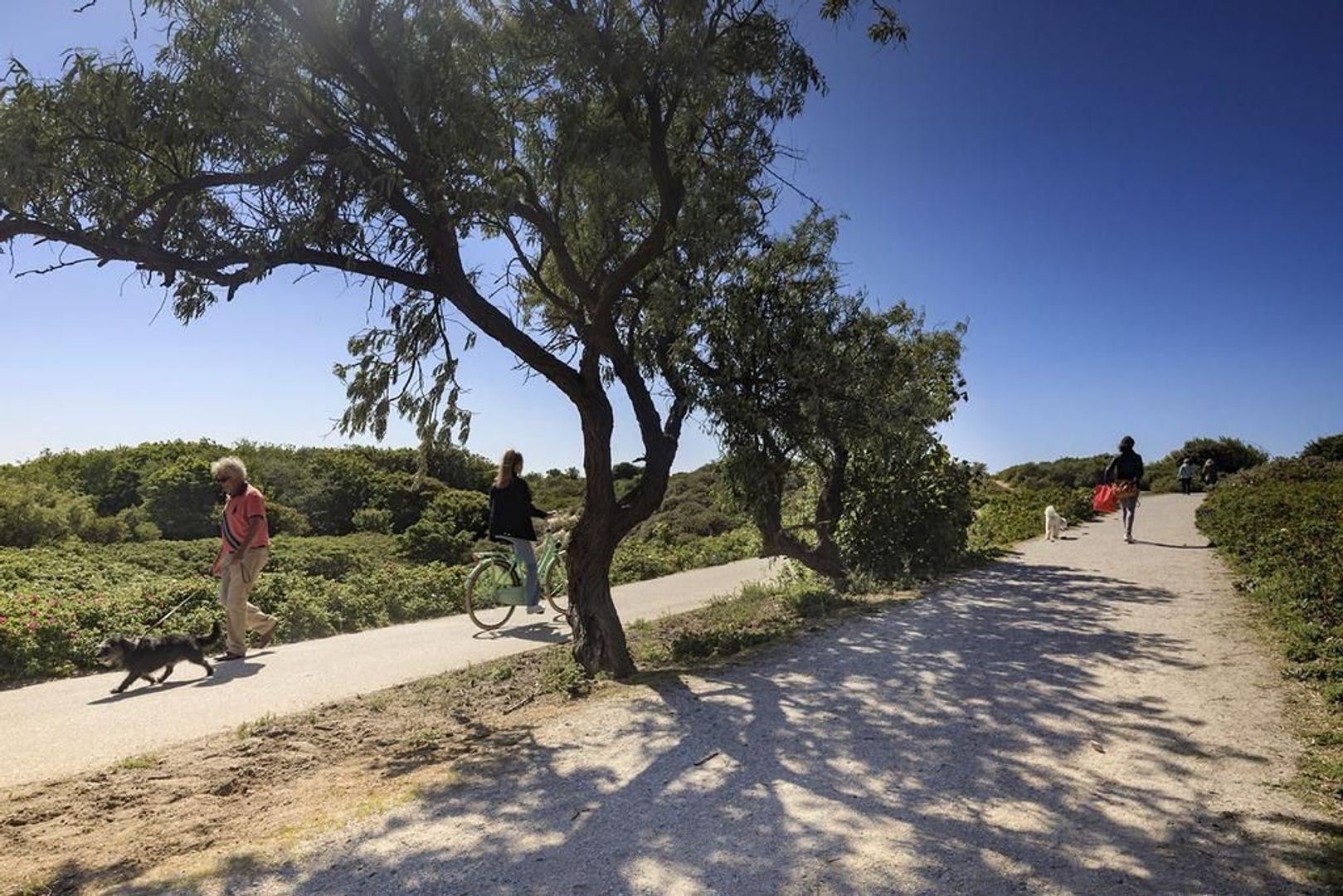 Jan Muschlaan 244, Den Haag foto-28