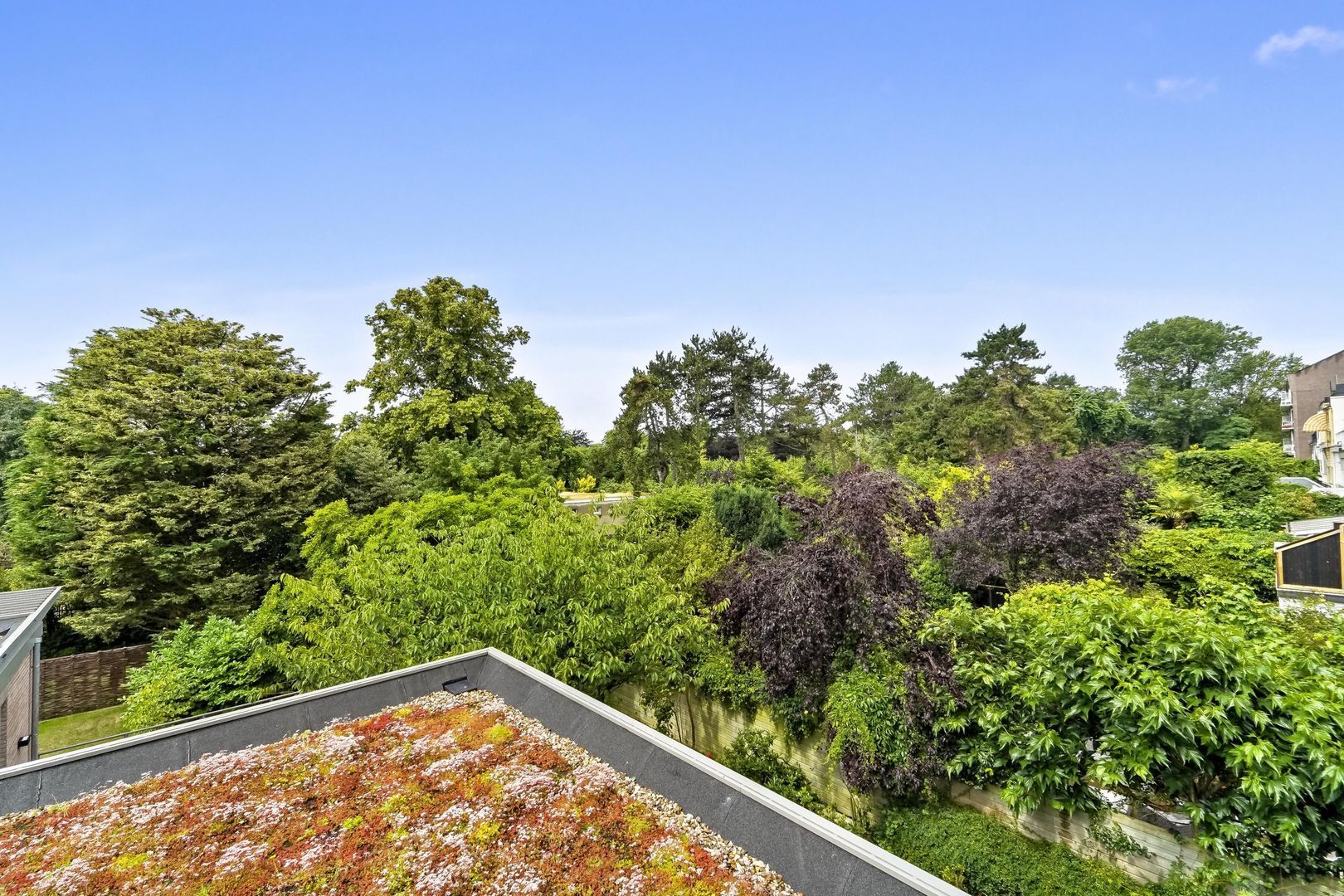 Bankastraat 100 B, Den Haag foto-6