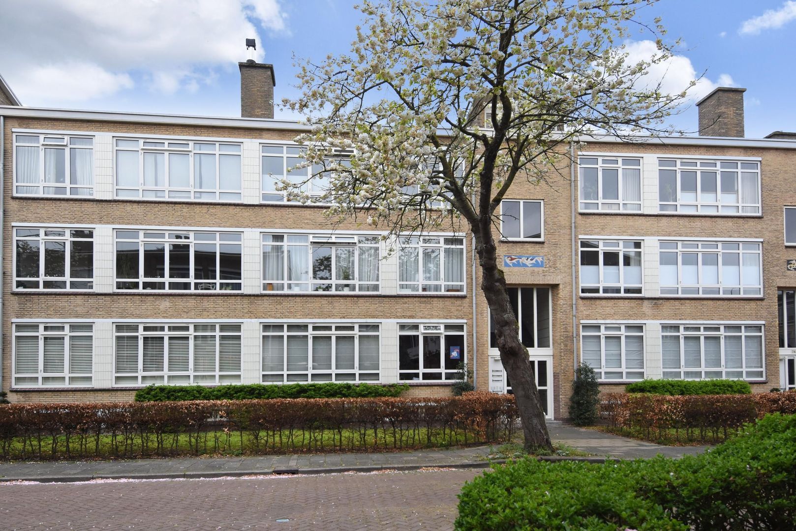 Van Trigtstraat 62, Den Haag foto-36