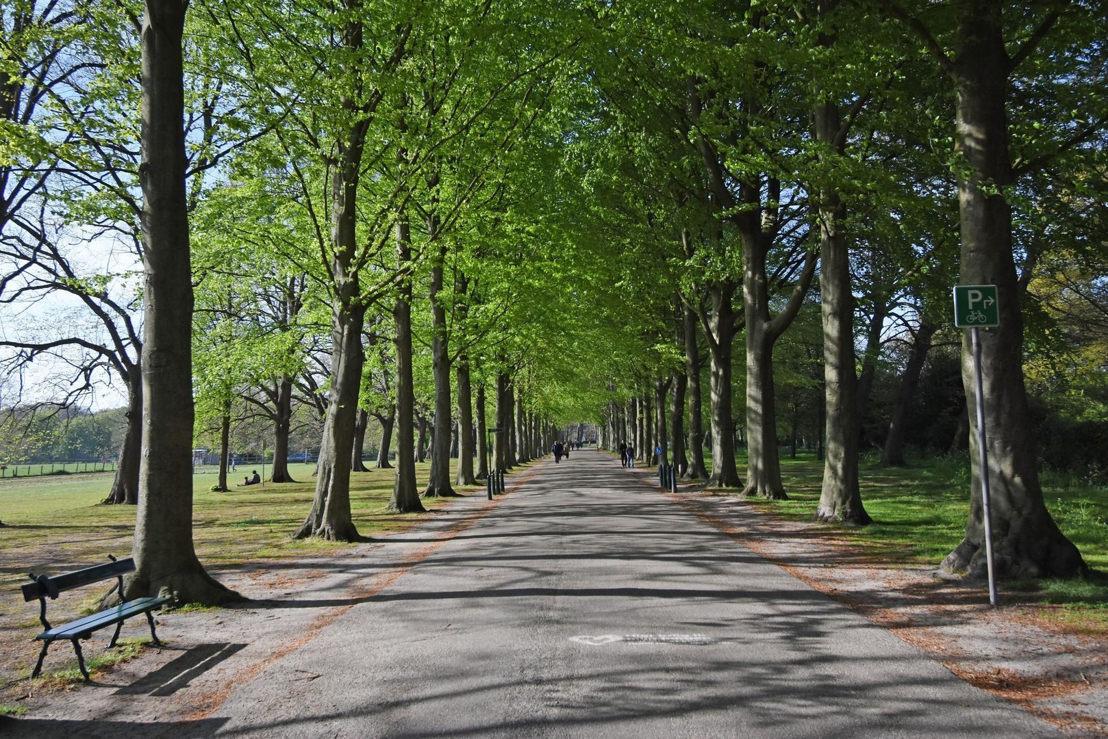 Van Trigtstraat 62, Den Haag foto-39