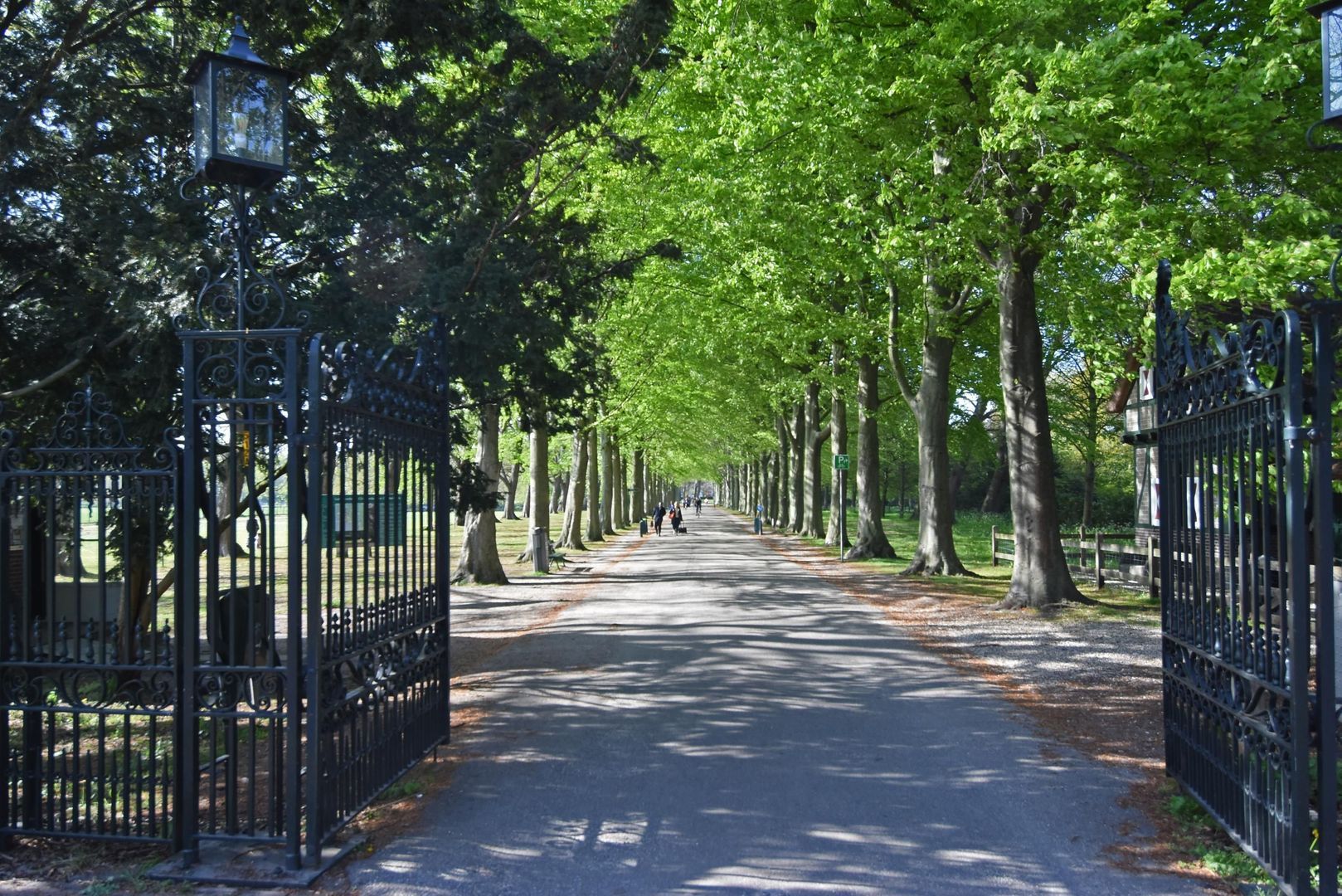 Van Trigtstraat 62, Den Haag foto-38