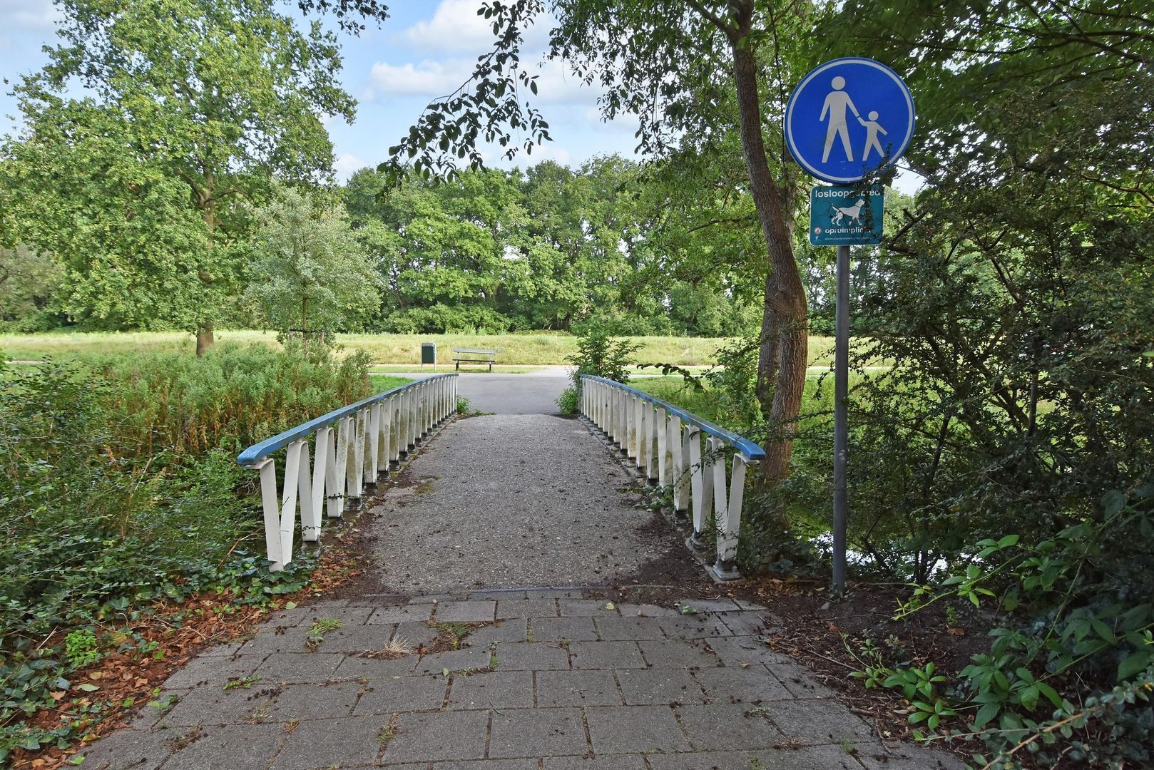 Else Mauhslaan 46, Den Haag foto-51