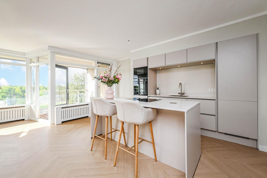Pisuissestraat 413, Den Haag