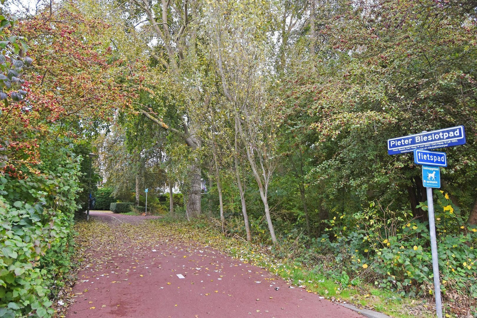Van der Goeslaan 7, Den Haag foto-46