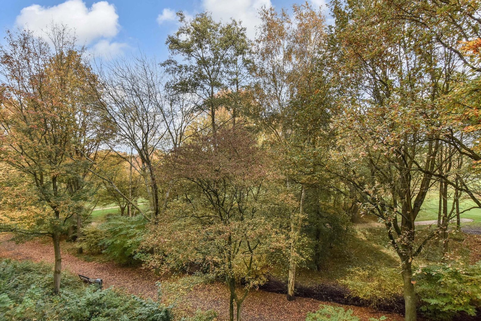 Cees Laseurlaan 141, Den Haag foto-28