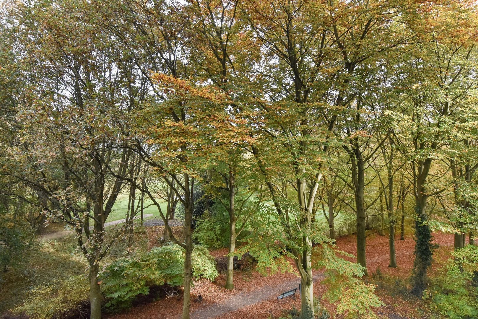 Cees Laseurlaan 141, Den Haag foto-29