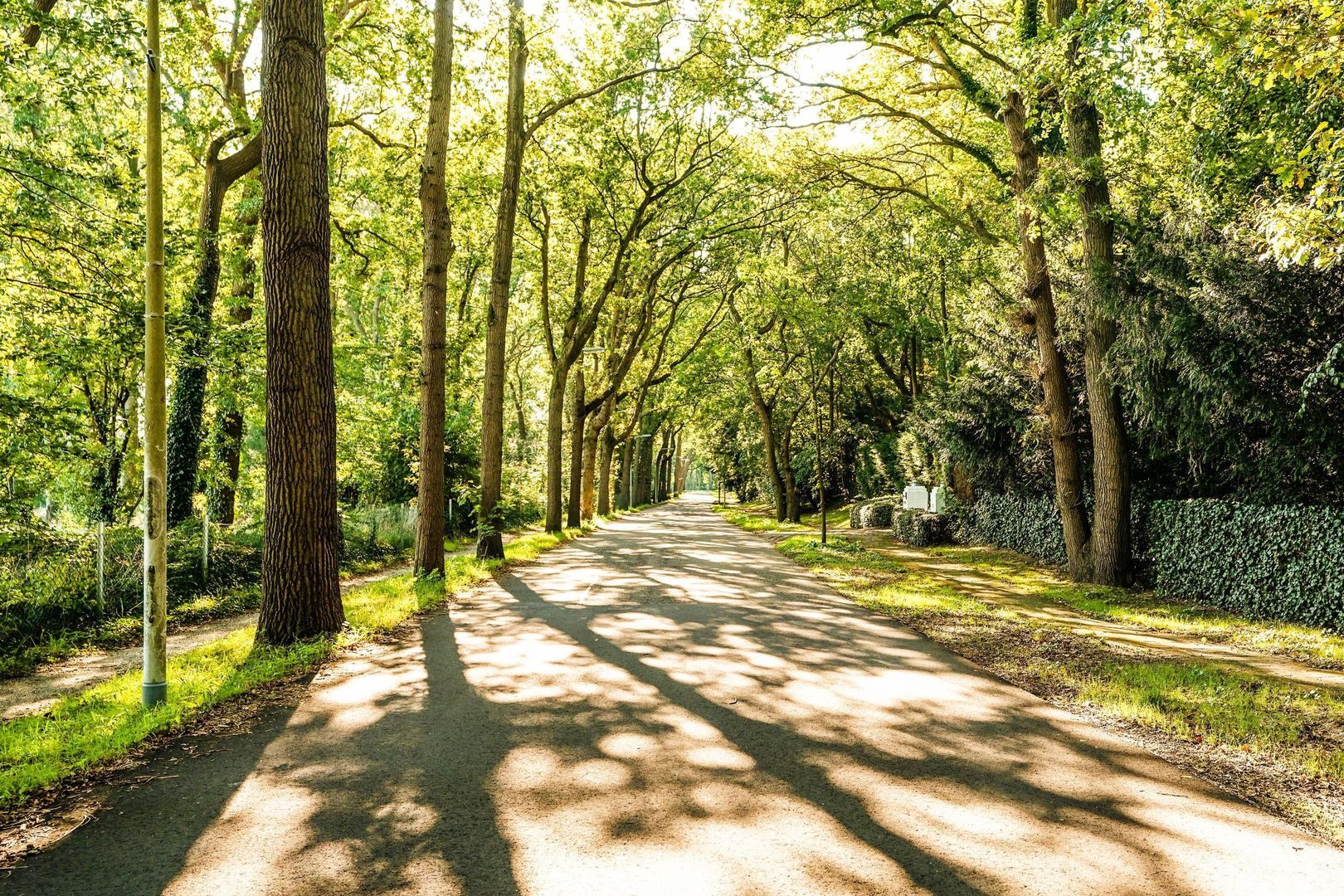 Schouwweg 86, Wassenaar foto-80