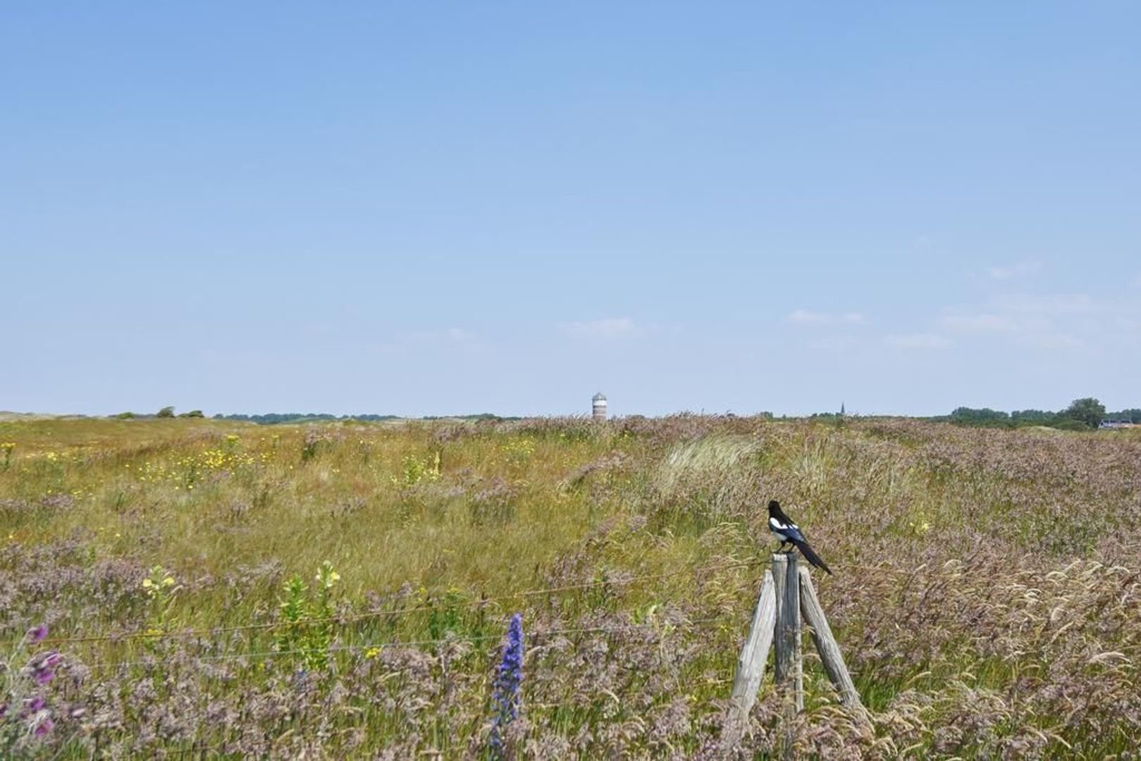 Nederhoflaan 73, Den Haag foto-82