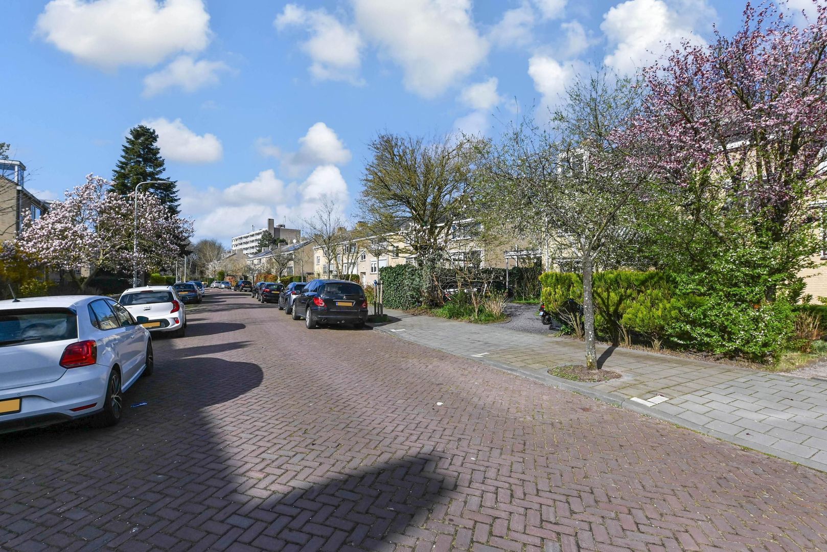 Olgaland 30, Den Haag foto-41