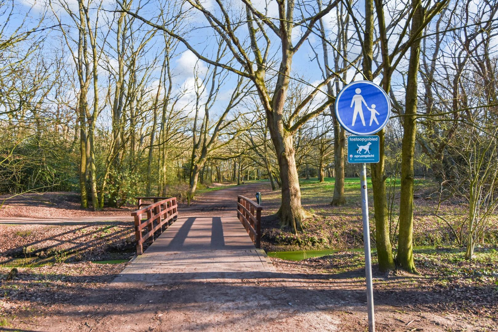 Cees Laseurlaan 233, Den Haag foto-28