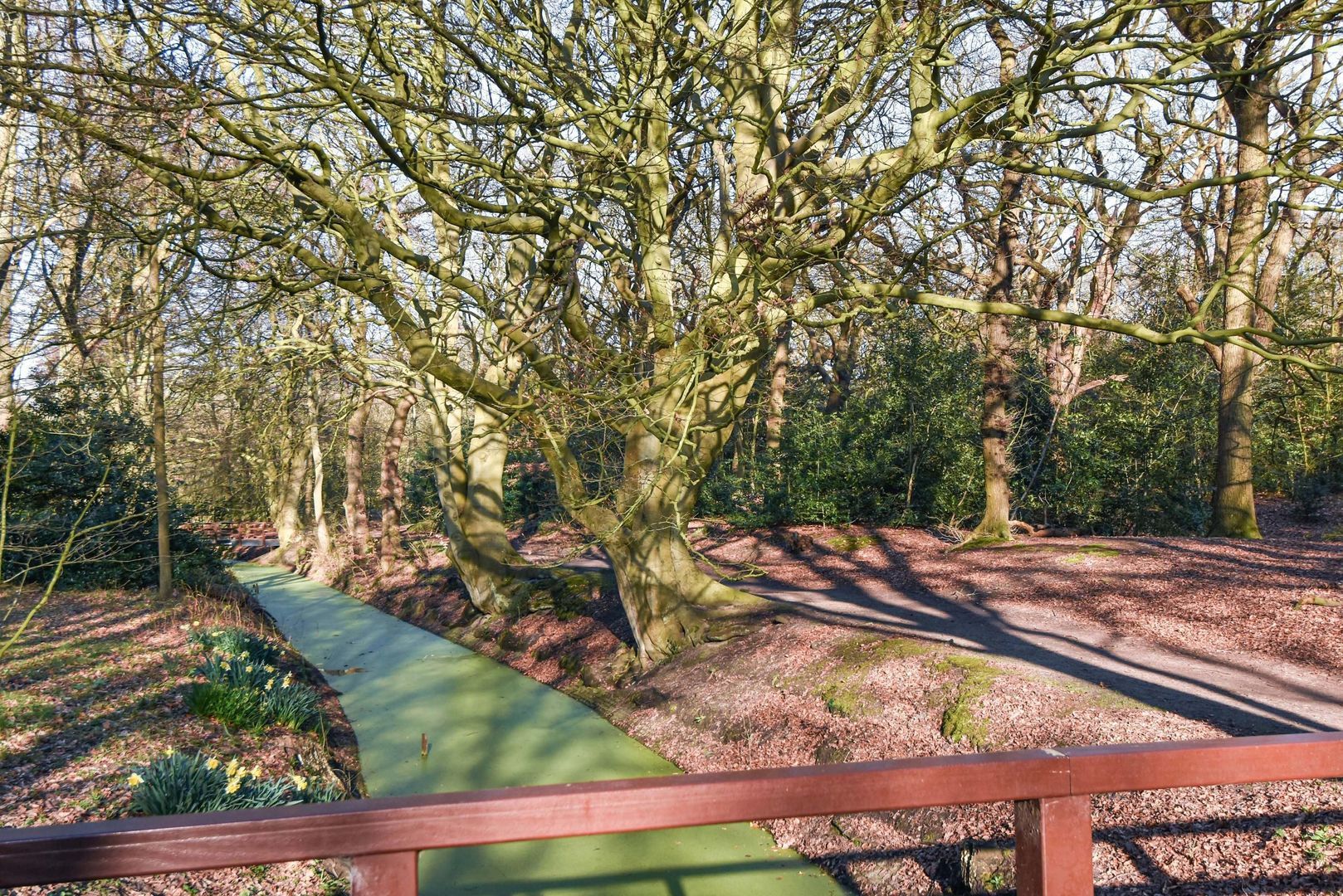 Cees Laseurlaan 233, Den Haag foto-29