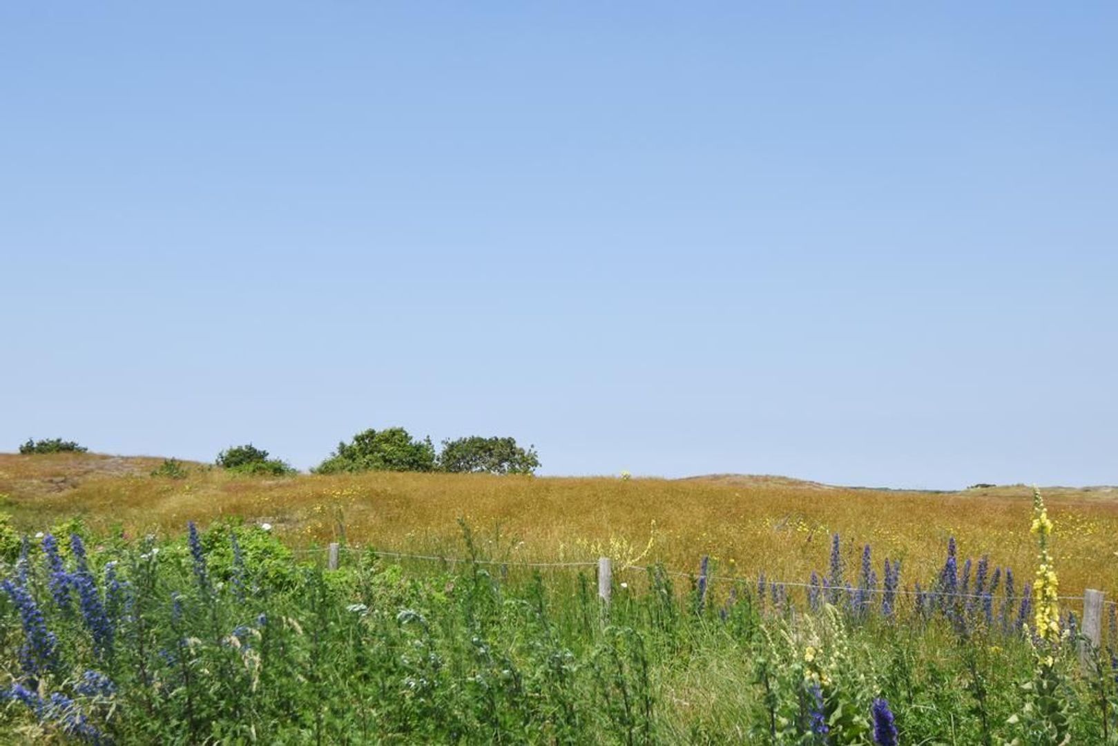 Nederhoflaan 73, Den Haag foto-80