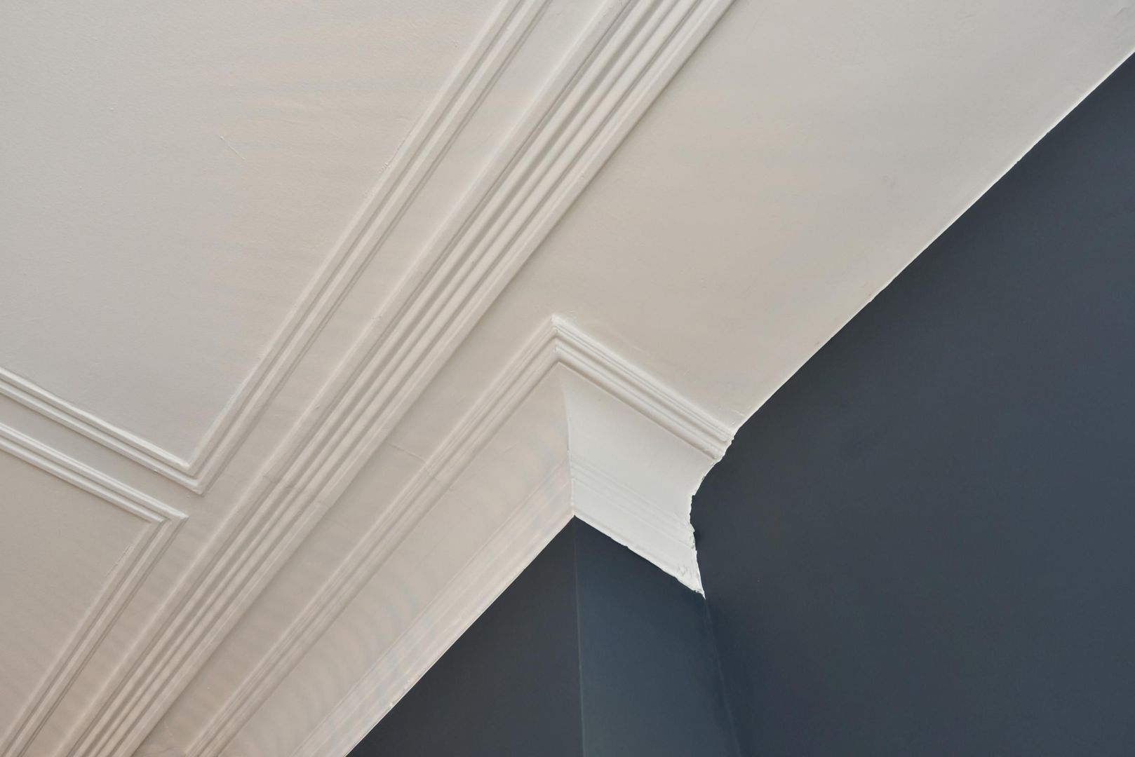 Van Loostraat 144, Den Haag foto-11