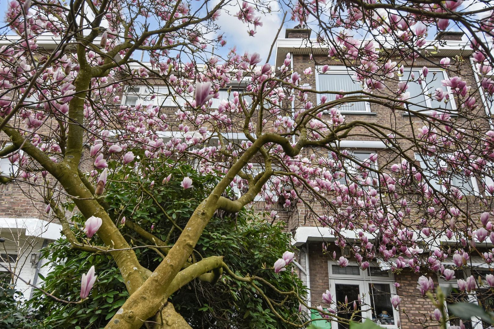 Stalpertstraat 91, Den Haag foto-36