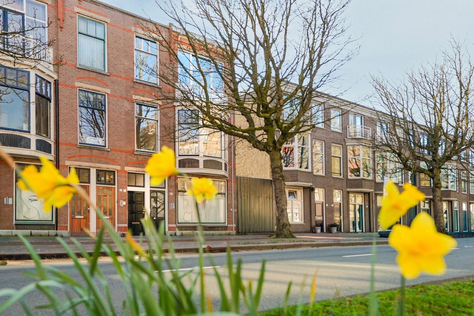 Koningin Emmakade 33, Den Haag foto-63