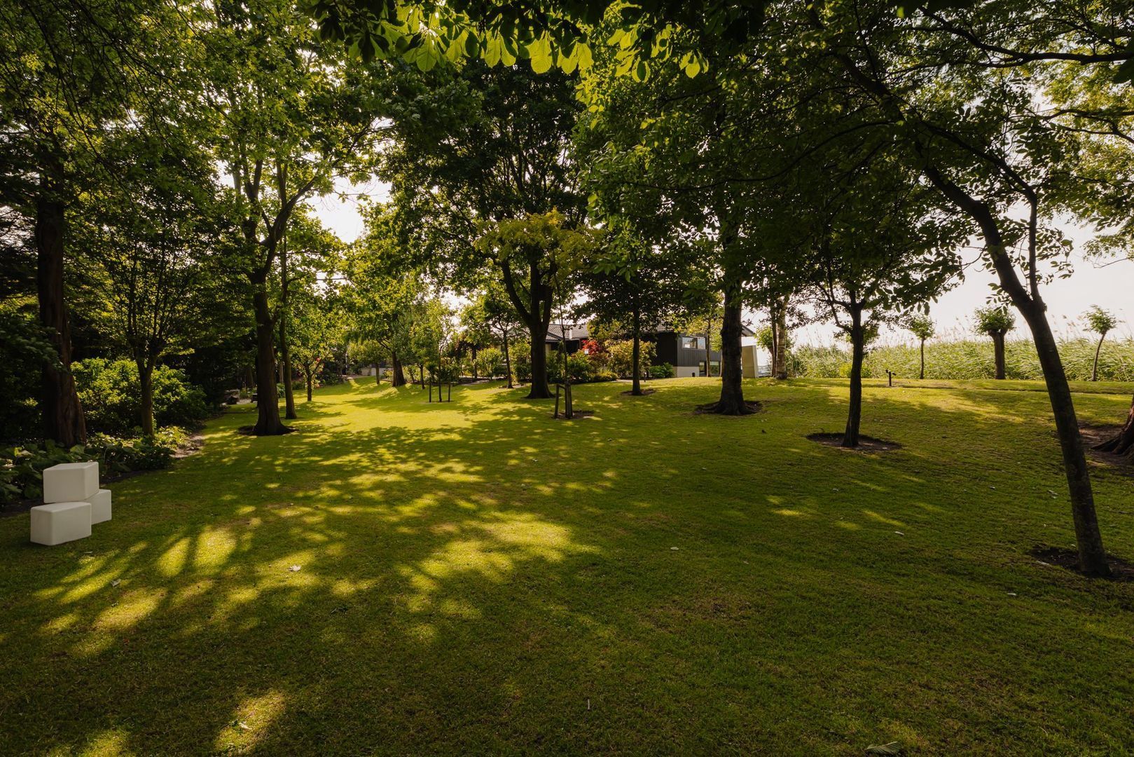 Poeldijk 1 b, Rijpwetering foto-5