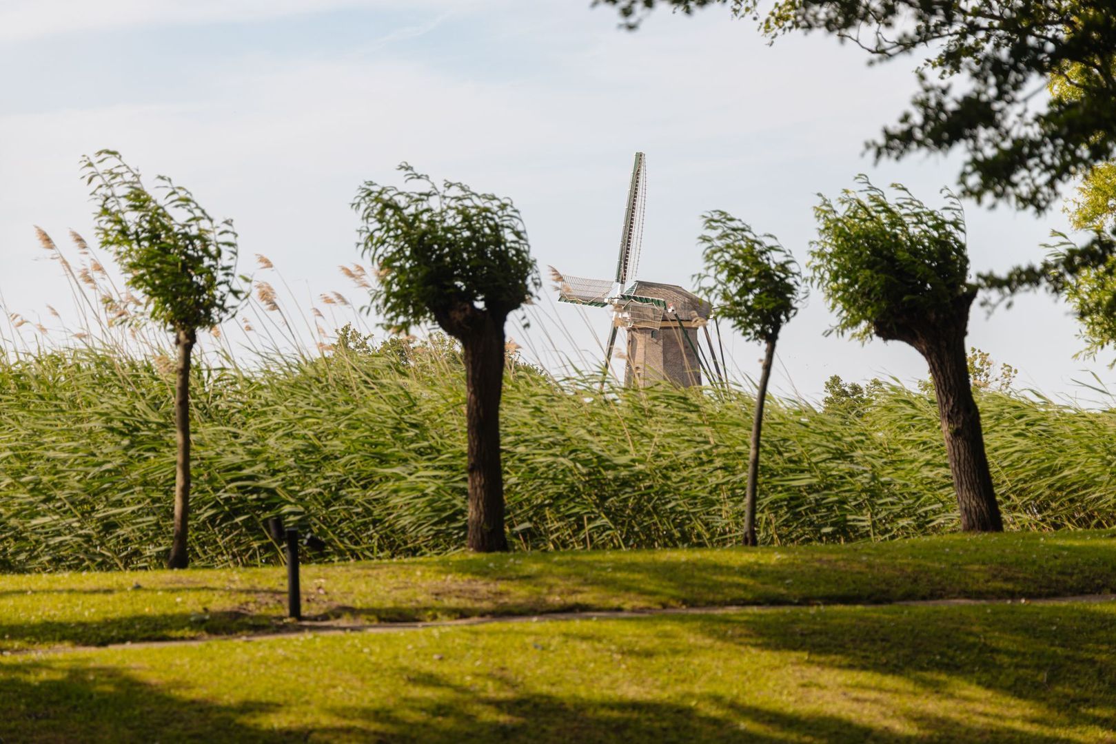 Poeldijk 1 b, Rijpwetering foto-3