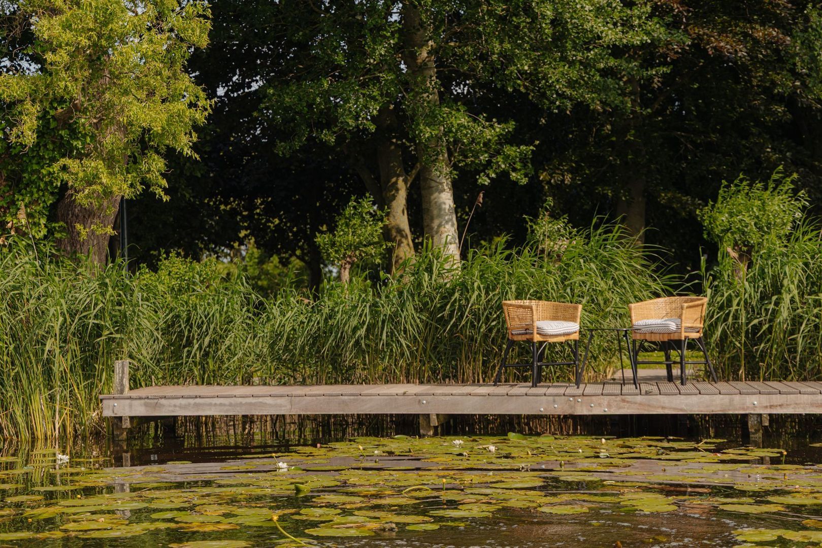 Poeldijk 1 b, Rijpwetering foto-38