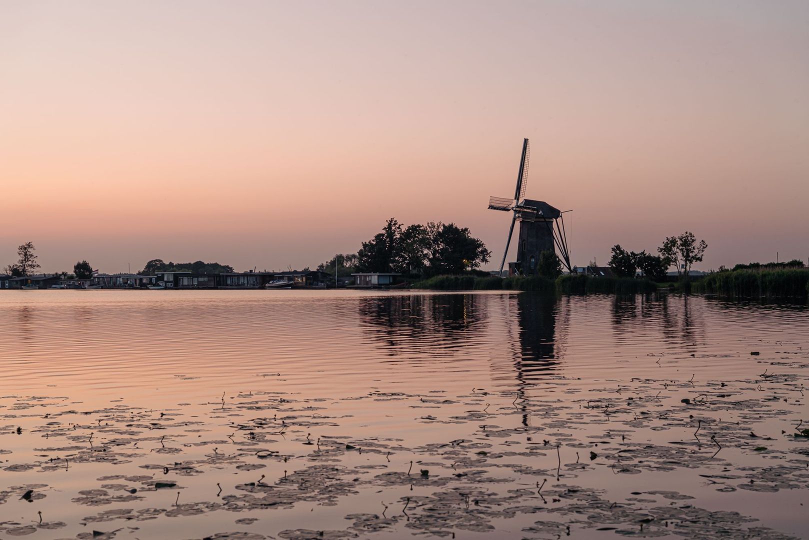 Poeldijk 1 b, Rijpwetering foto-52
