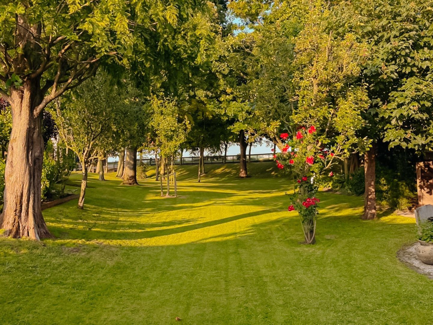 Poeldijk 1 b, Rijpwetering foto-40